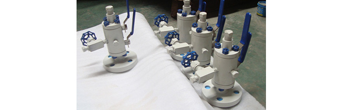 Floating DBB Ball Valves